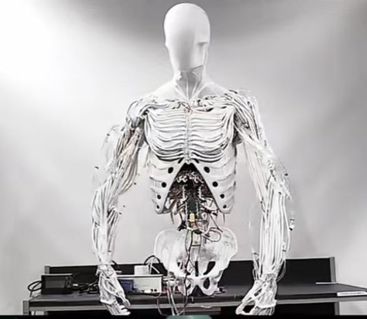 Clone Alpha: The World’s First Fully Bionic Robot