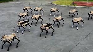 This is a picture of robot dog herd