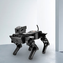 XiaoR Quadruped bionic robot dog