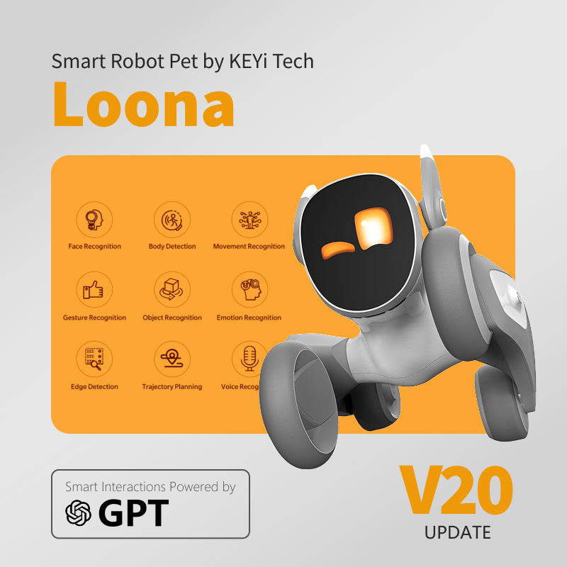 Loona Smart Pet Robot AI Robot