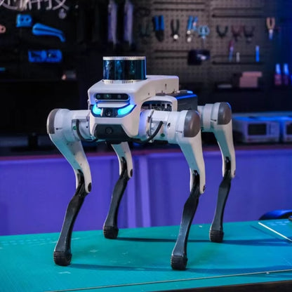 DeepRobotics Jueying Lite3--Perro Robótico