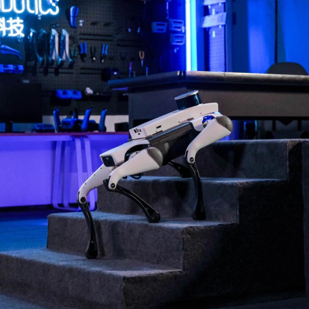DeepRobotics Jueying Lite3--Perro Robótico